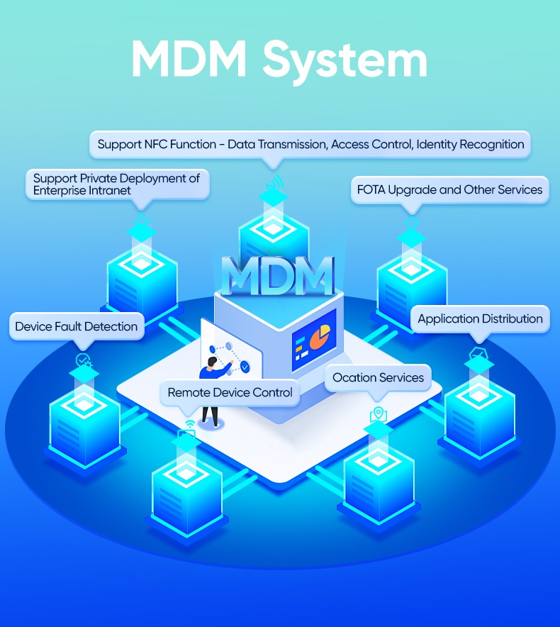 MDM System